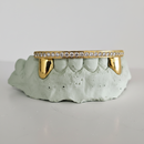 Diamond Rail Gold Grillz 6pc - DQ1020Rail