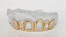 4 Solid Gold | 2 Iced out Fangs DQ1039
