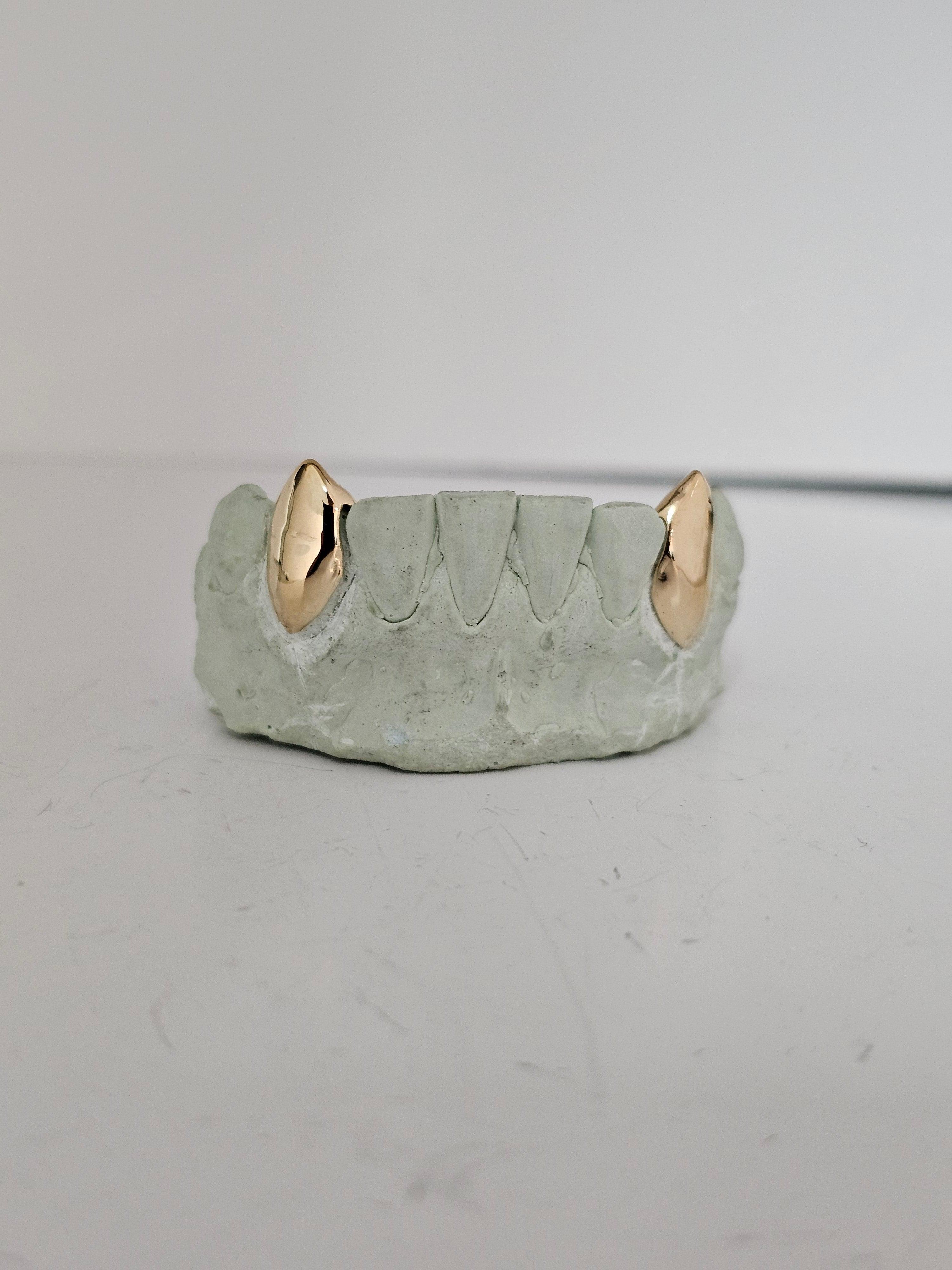 2 Set Fang Grillz