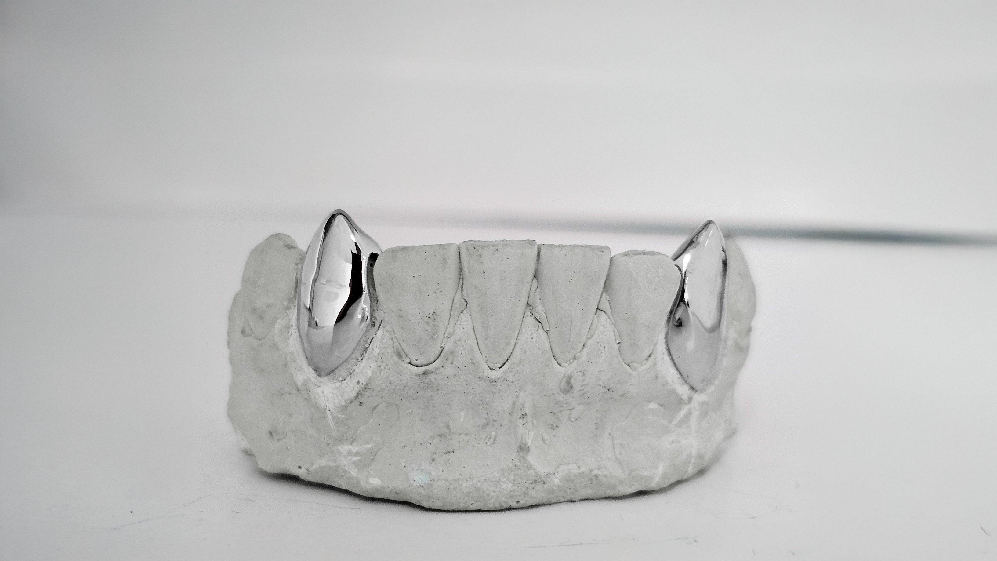 2 Set Fang Grillz