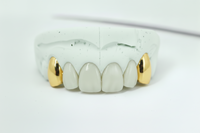 2 Set Fang Grillz - DQ1009
