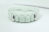 2 Set Fang Grillz - DQ1009