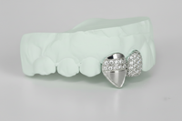 Silver Moissanite 4-Piece Grillz with Extended Fangs DQ1036