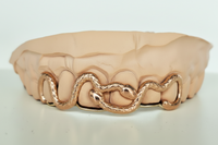 Double Snake Grillz Top 6 DQ1027