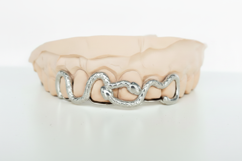 Double Snake Grillz Top 6 DQ1027