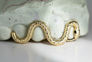 Golden Snake Grillz Top 4 DQ1028