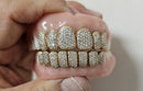 Grillz on Your Denture - DQ1023DNT