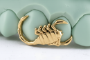 Scorpion (scorpio) Grillz Sitting On 2 Teeth
