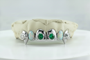 6-Pack with 2 Jumbo Gem Grillz- DQ1009JG