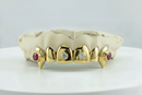 6-Pack with 2 Jumbo Gem Grillz- DQ1009JG