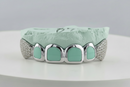 Diamond Studded Fangs Grillz DQ1035