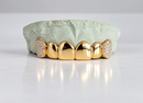 Diamond Studded Fangs Grillz DQ1035