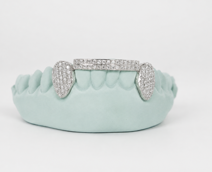 Silver Moissanite Double Bar Grillz DQ1052