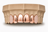6Pack Grillz, 4 Solid Gold | 2 Iced out Fangs DQ1039