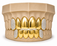 6Pack Grillz, 4 Solid Gold | 2 Iced out Fangs DQ1039