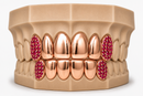 6Pack Grillz, 4 Solid Gold | 2 Iced out Fangs DQ1039