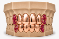 6Pack Grillz, 4 Solid Gold | 2 Iced out Fangs DQ1039