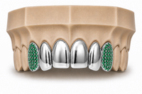 6Pack Grillz, 4 Solid Gold | 2 Iced out Fangs DQ1039