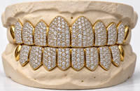 Moissanite VVS Quality Iced Out  Grillz - DQ1002