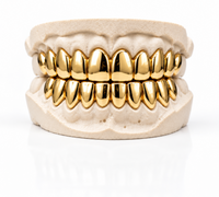 Gold Grillz - DQ1001