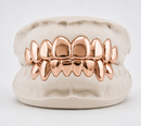 Silver Grillz - DQ1015