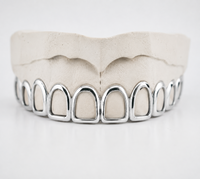 Silver Grillz - DQ1015