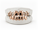 Gold Star Grillz Top and Bottom Special