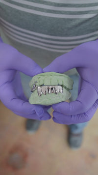 Big Ass Scorpion Grillz — Built to Sting.